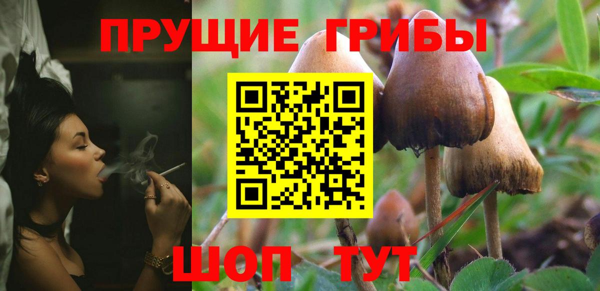 Усолье-Сибирское  Галлюциногенные грибы мицелий  Вход с VPN 
